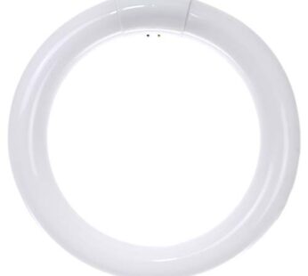 Sunlite 05010 FC8T9/WW 8-Inch T9 Round Fluorescent Circline Lamp, 22 Watts, 1250 Lumens, 3