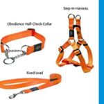 Reflective Nylon Choke Collar; Slip Show Obedience Training Gentle Choker for Extra Large - Image 9