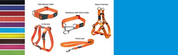 Reflective Nylon Choke Collar; Slip Show Obedience Training Gentle Choker for Extra Large - Image 9
