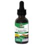Nature's Answer Licorice Root | Herbal Supplement | Supports Digestive Health | Non-GMO &