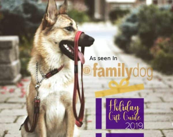 Reflective Nylon Choke Collar; Slip Show Obedience Training Gentle Choker for Extra Large - Image 4