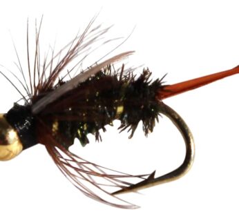 Flies Direct BH Prince Nymph Assortment Trout Fishing Flies (1-Dozen), Black