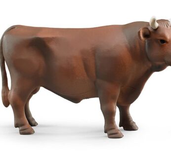 Bull