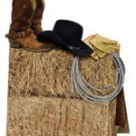 Beistle 3-D Western Centerpiece Party Accessory - Image 2