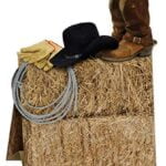 Beistle 3-D Western Centerpiece Party Accessory