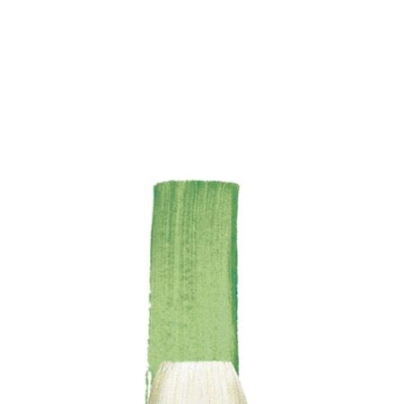 Winsor & Newton Winton Hog Bristle Brush-Flat #10 - Image 2