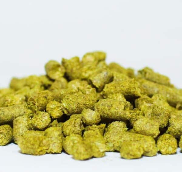 German Northern Brewer Hop Pellets 1 Oz.