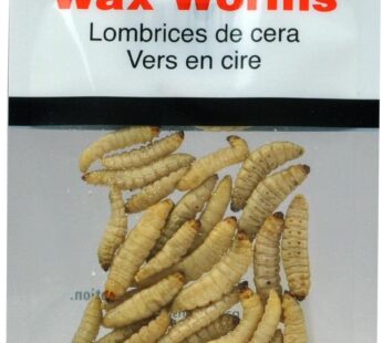 Magic Bait MAG5239 Preserved Waxworm, 35 Per Bag, Yellow