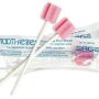 Sage 5601 Toothettes Disposible Toothbrushes 20-Pack