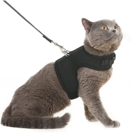 PUPTECK Soft Mesh Cat Vest Harness and Leash Set Puppy Padded Pet Harnesses Escape Proof f - Image 2