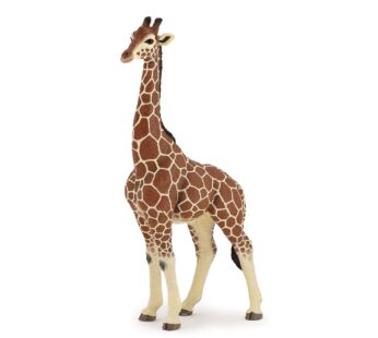 Papo Giraffe Male Figure