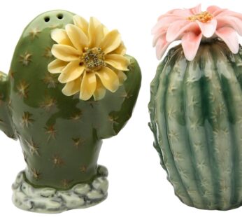 StealStreet SS-CG-20893 3.13″ Painted Pair of Cactus Flowers Salt and Pepper Shakers, Gree