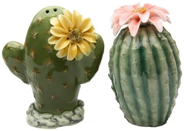 StealStreet SS-CG-20893 3.13" Painted Pair of Cactus Flowers Salt and Pepper Shakers, Gree