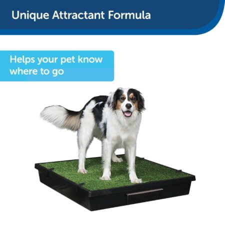 PetSafe Skip To My Loo Attractant, Potty Train Dogs to Use Pee Pads and Alternative Dog Po - Image 4