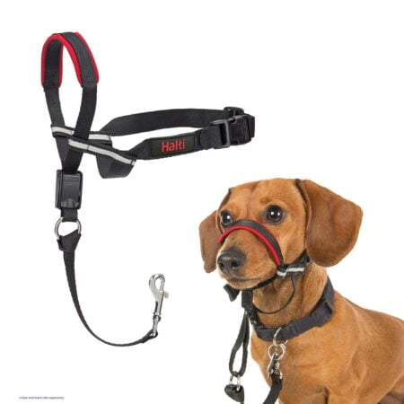 HALTI Optifit Headcollar - To Stop Your Dog Pulling on the Leash. Adjustable, Reflective a