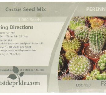 Outsidepride 1000 Seeds Perennial Succulent Cactus Drought Tolerant Garden Plant Seed Mix