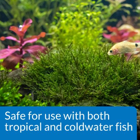 API ROOT TABS Freshwater Aquarium Plant Fertilizer 0.4-Ounce 10-Count Box - Image 5