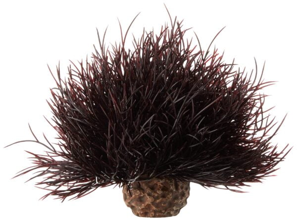 biOrb Sea Lily Crimson