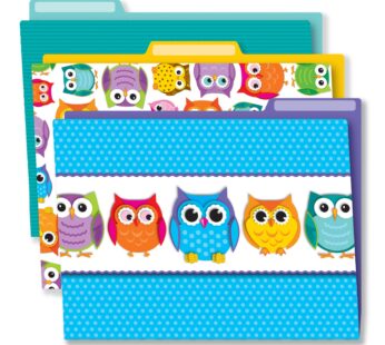 Carson Dellosa Owl Decorative File Folder Set 11.75″ x 9.5″ Colored File Folders for Filin