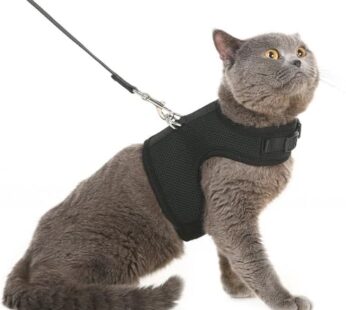 PUPTECK Soft Mesh Cat Vest Harness and Leash Set Puppy Padded Pet Harnesses Escape Proof f