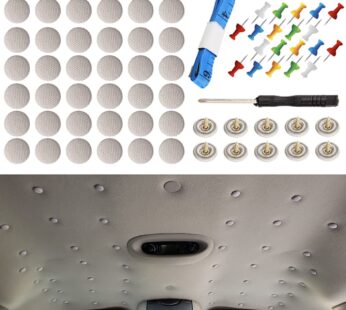 RICWINA 60 pcs Automotive Car Roof Headliner Repair Button, Universal Auto Roof Snap Rivet
