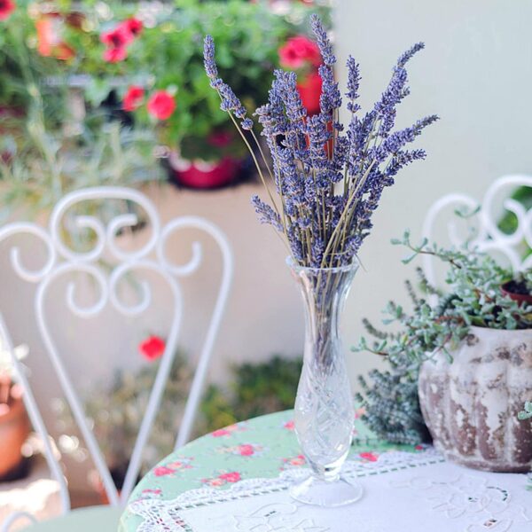 Timoo Dried Lavender Bundles 100 Natural Dried Lavender Flowers for Home Decoration, Photo - Image 6