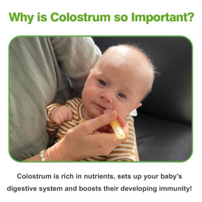haakaa Colostrum Collector Syringes for Breastmilk Collector for Breastfeeding Moms to Col - Image 4