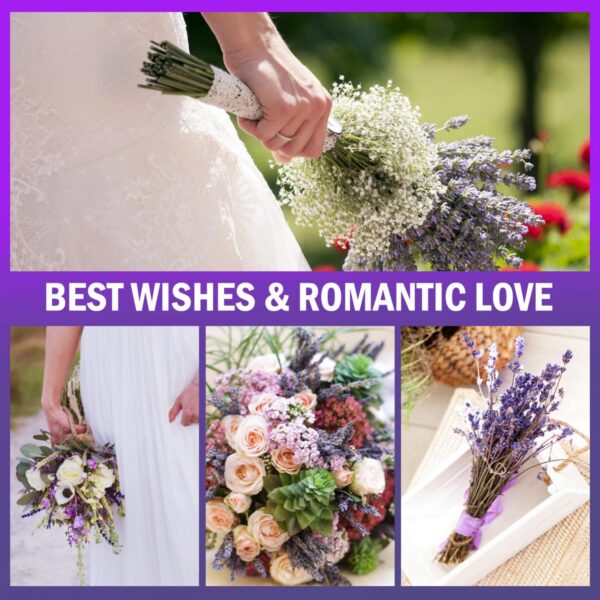Timoo Dried Lavender Bundles 100 Natural Dried Lavender Flowers for Home Decoration, Photo - Image 4