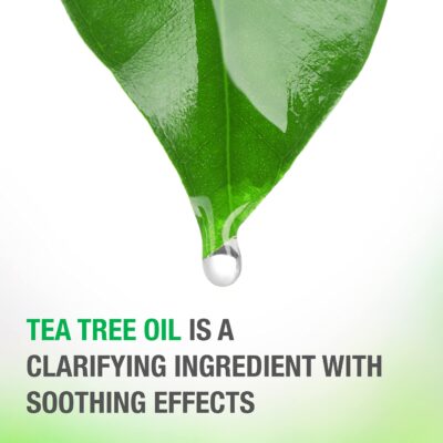 Neutrogena Soothing & Calming Healthy Scalp Shampoo to Moisturize Dry Scalp & Hair, with T - Image 8