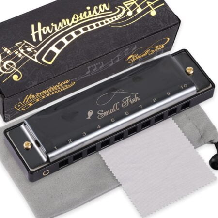 Harmonica for Kids and Adults, Beginners Blues Harmonica Mouth Organ in the Key of C, 10 H