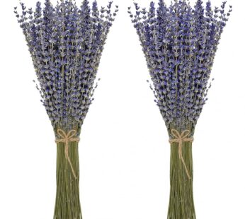 Timoo Dried Lavender Bundles 100 Natural Dried Lavender Flowers for Home Decoration, Photo