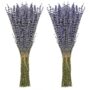 Timoo Dried Lavender Bundles 100 Natural Dried Lavender Flowers for Home Decoration, Photo