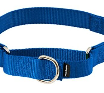 PetSafe Martingale Collar with Quick Snap Buckle, 1″ Medium, Royal Blue