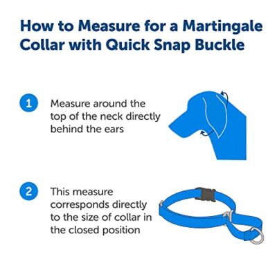 PetSafe Martingale Collar with Quick Snap Buckle, 1" Medium, Royal Blue - Image 3