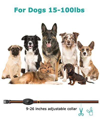MAISOIE Dog Shock Collar, Dog Training Collar with Remote 1300FT, Waterproof Rechargeable - Image 8
