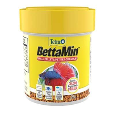 Tetra fish Aquatics Betta Small Pellets 1.02 Ounce, Complete Nutrition Plus Color Boost, F