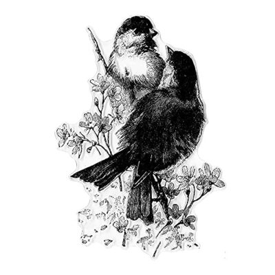Hying 2 Love Birds on Flowers Words Clear Stamps for Card Making Scrapbooking Crafting DIY