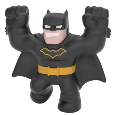 Heroes Of Goo Jit Zu - DC Mini (Character sent at random)