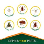 Repel 100 Insect Repellent, Pump Spray, 4-Fluid Ounces, 10-Hour Protection - Image 3