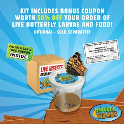 Nature Bound Butterfly Growing Kit - Live Caterpillar to Butterfly Project for Kids - Incl - Image 6