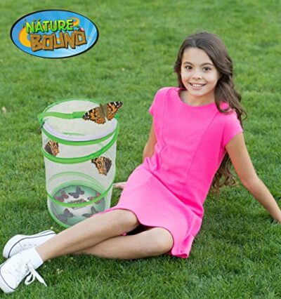 Nature Bound Butterfly Growing Kit - Live Caterpillar to Butterfly Project for Kids - Incl - Image 4