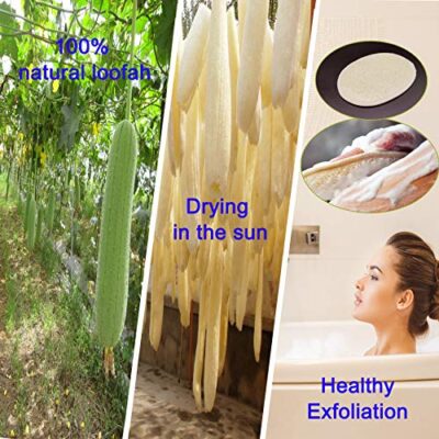 2 Pack Exfoliating Shower Loofah Sponge Pads, Body Scrubber for Men Women Removing Dead Sk - Image 4