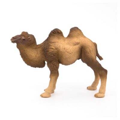Papo -hand-painted - figurine -Wild animal kingdom - Bactrian Camel -50129 -Collectible - - Image 7