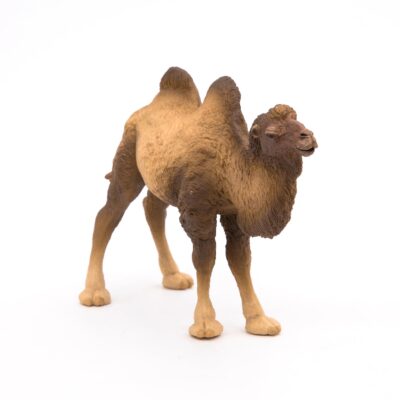 Papo -hand-painted - figurine -Wild animal kingdom - Bactrian Camel -50129 -Collectible - - Image 4