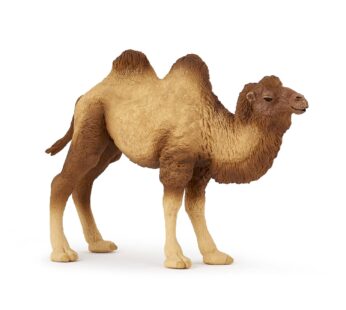 Papo -hand-painted – figurine -Wild animal kingdom – Bactrian Camel -50129 -Collectible –