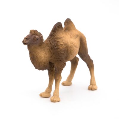 Papo -hand-painted - figurine -Wild animal kingdom - Bactrian Camel -50129 -Collectible - - Image 6