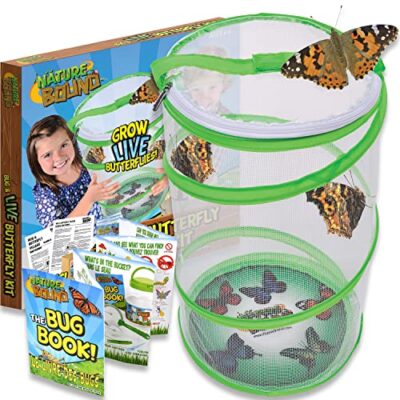 Nature Bound Butterfly Growing Kit - Live Caterpillar to Butterfly Project for Kids - Incl