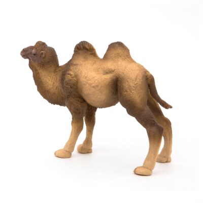 Papo -hand-painted - figurine -Wild animal kingdom - Bactrian Camel -50129 -Collectible - - Image 8