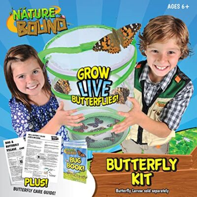 Nature Bound Butterfly Growing Kit - Live Caterpillar to Butterfly Project for Kids - Incl - Image 3