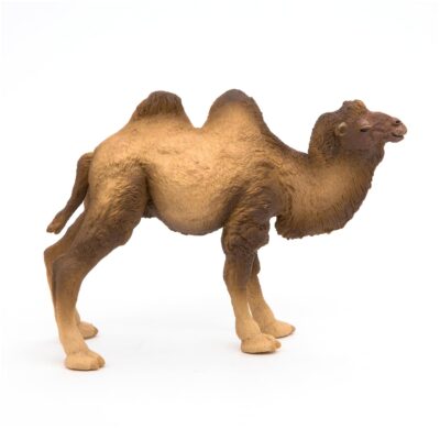 Papo -hand-painted - figurine -Wild animal kingdom - Bactrian Camel -50129 -Collectible - - Image 2